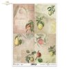 jabłko, jabłka, gruszka, gruszki, cytryna, cytryny, brzoskwinia, brzoskwinie, owoce, gałązka, liście, stare napisy, retro, ręczne pismo, stary papier, list, tło, apple, apples, pear, pears, lemon, lemons, peach, peaches