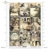 Alice's Magic - A tale of a world that has forgotten logic  - Czary Alicji - Opowieść o świecie, który zapomniał logiki * 