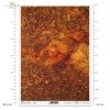 zanurzone w bursztynie, bursztyn, jantar, amber, inkluzje, kamienie ozdobne, biżuteria, amonit, mrówka, gemstones, amber collection, inclusions, jewellery, ammonite, ant, Bernstein Sammlung, Bernstein, Einschlüsse, Schmuck, Ammonit