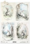 króliki, wielkanocne króliczki, jajka wielkanocne, wielkanoc, wiosenne klimaty, wiejskie zwierzęta*rabbits, easter bunnies, easter eggs, easter, spring climate, countryside animals*Kaninchen, Osterhasen, Ostereier, Ostern, Frühlingsklima, Tiere auf dem 