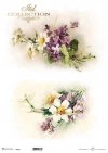 wiosenne kwiaty, pierwiosnek, fiołki*spring flowers, primrose, violets*Frühlingsblumen, Primeln, Veilchen*flores de primavera, prímulas, violetas