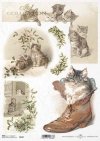 cats, kitten, cat games, mistletoe, Christmas decorations, old shoe, Tiere, Katze, Kätzchen, Katzenspiele, Mistelzweig, Weihnachtsschmuck, alter Schuh, animales, gato, gatito, juegos de gatos, muérdago, adornos navideños, zapato viejo