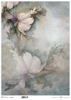 motywy roślinne, motywy kwiatowe, tło, tapeta, kolaż, rośliny, kwiaty*floral motifs, floral motifs, background, wallpaper, collage, plants, flowers*blumenmotive, blumenmotive, hintergrund, wallpaper, collage, pflanzen, blumen*motivos florales, motivos flo