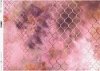 Rosa-cobre-patrón-Papel-populares-en-el-mundo-Orient-patrón-trébol*Rosa-Kupfer-Muster-Tapeten-populäre-in-der-Welt-Orient-Muster-Klee*Розово-медно-модель-обои-популярный-в-мире-Orient-модель-клевер