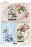 ptak, ptaki, ptaszek, ptaszki, ptaszek w klatce, klatka, klatka dla ptaków, retro, pastelowe kolory, tło, R211, bird, cage, bird cages, retro, style, pastel colors, beautiful, background , pájaro en una jaula, jaulas de pájaros