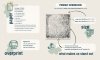 Papeles Scrapbooking SLS-082 Tales from the Dark Fair