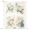 kwiaty flowers Blumen flores 
