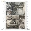 mystery, good, evil, fight between good and evil, dragon, snake, fight with dragon, knight, warrior, door to another world, castle, Lucia and the Old Wardrobe, secret castle, secret door, passage, Schwarz-Weiß