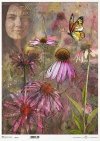 twarz kobiety, rośliny, echinacea, jeżówka*female face, plants, Echinacea, coneflower*weibliches Gesicht, Pflanzen, Echinacea, Sonnenhut*rostro femenino, plantas, Echinacea, coneflower