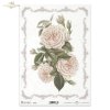 kwiaty, pąki, pączki, liście, listki, róża, róże, ogród, bukiet, bukiety, ornamenty, ramki, home sweet home, flowers, buds, leaf, leaves, roses, garden, bouquets, ornament, Blumen, Knospen, Blatt, Blätter, Rosen, Garten