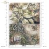 jesień, jesienne widoczki, bluszcz pospolity, okno, liście, leszczyna, orzechy laskowe, Autumn Love Story, autumn, autumn views, common ivy, window, leaves, hazel, hazelnuts, Herbst, Herbstansichten, Efeu, Fenster, Blätter, Hasel, Haselnüsse