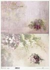 fiołek, kwiaty, fiołki, bukieciki, pastelowe tła*violet, flowers, violets, bouquets, pastel backgrounds*Veilchen, Blumen, Veilchen, Sträuße, pastellfarbene Hintergründe*violeta, flores, violetas, ramos, fondos pastel