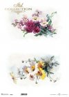 kwiaty wiosenne, rumianek, lewkonia*spring flowers, camomile, levconia*Frühlingsblumen, Kamille, Levkonie*flores de primavera, manzanilla, levconia