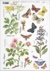 meadow, plants, butterfly, butterflies, flower, flowers, R405, Rosa canina, Celandia, Salvia, Chelidonium majus