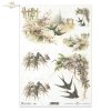 ptak, ptaki, jaskółka, jaskółki, budka dla ptaków, kwiaty, wiosna, R670, bird, birds, swallow, birdhouse, flowers, spring, Vogel, Vögel, Schwalbe, Vogelhaus, Blumen, Frühling, pájaro, golondrina, pajarera, flores, primavera
