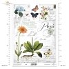 Folia przezroczysta (HS code 39261000) F140