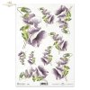 Flowers, poppies, field flowers, field poppies, violet flowers, R273