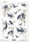 zima, zimowe, ptak, ptaki, gałązki, gałęzie, zima, ptaszek, ptaszki, R201, winter, bird, birds, twigs, branches, invierno, pájaros en ramitas de invierno, Navidad , Winter, Vögel auf Winterzweigen, Weihnachten 