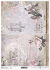 flower, rose, roses, bird, birds, bird cage, writing, retro, background