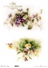 wiosenne kwiaty, fiołki, bratki*spring flowers, violets, pansies*Frühlingsblumen, Veilchen, Stiefmütterchen*flores de primavera, violetas, pensamientos