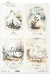gęsie, gąski, wiejskie zwierzęta, wiosenne klimaty, rustykalny styl*geese, countryside animals, spring breeding, rustic style*Gänse, Tiere auf dem Lande, Frühjahrsaufzucht, rustikaler Stil