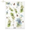 chaber, chabry, nagietek, nagietki, motyl, motyle, motylek, motylki, kwiat, kwiaty, kwiatek, kwiatki, łąka, ogród, lato, R563, cornflower, marigold, butterfly, butterflies, flower, meadow, garden, summer, Kornblumen, Ringelblume, Schmetterling, Blume, Wie