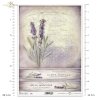 lawenda, lawendy, lawendowe, kwiat, ogród, łąka, wiosna, lato, z lawendą, francuskie faktury, R982, lavender, flower, garden, meadow, spring, summer, Lavendel, Blume, Garten, Wiese, Frühling, Sommer, lavanda, flor, jardín, prado, primavera, verano