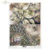 jesień, jesienne widoczki, bluszcz pospolity, okno, liście, leszczyna, orzechy laskowe, Autumn Love Story, autumn, autumn views, common ivy, window, leaves, hazel, hazelnuts, Herbst, Herbstansichten, Efeu, Fenster, Blätter, Hasel, Haselnüsse