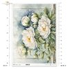 letnie kwiaty, bukiet kwiataów*Summer flowers, flower bouquet*Sommerblumen, Blumenstrauß*Flores de verano, ramo de flores 