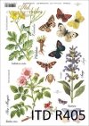 łąka, rośliny, motyl, motyle,  jaskółcze ziele, szałwia, dzika róża, kwiat, kwiaty, zioła, ziółka, R405