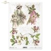 woman, dress, hat, dress, retro, spring, flowers, flower, twig, handwriting