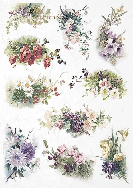 Creative Set Rs009 Schone Blumen Gedampfte Hintergrunde Craquelines Helle Bretter Apfelblute Lavendel Rosen Narzissen Astern Mohnblumen Frauen sind schöne und intelligente kreaturen. creative set rs009 schone blumen