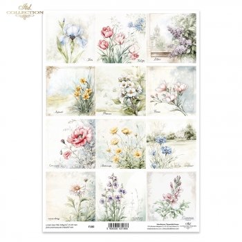 Folia przezroczysta (HS code 39261000) F180