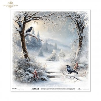 Papier für Scrapbooking SL1719