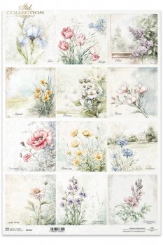 Reispapier A3 für Decoupage R1443L