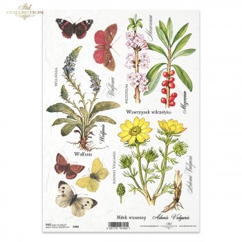 Reispapier für Serviettentechnik und Decoupage R0406