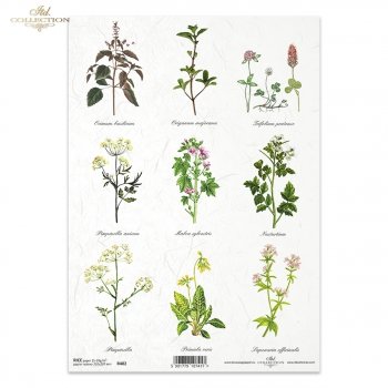 Reispapier für Serviettentechnik und Decoupage R0402