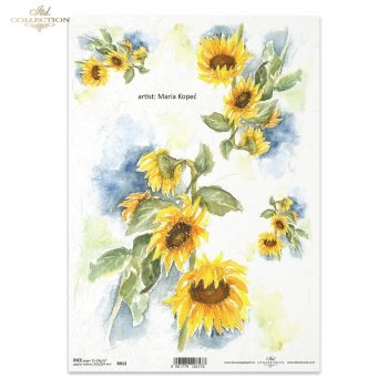 Reispapier für Serviettentechnik und Decoupage R0913