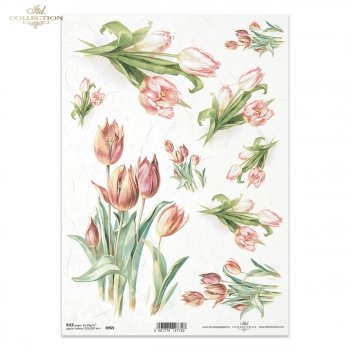 Reispapier für Serviettentechnik und Decoupage R0959