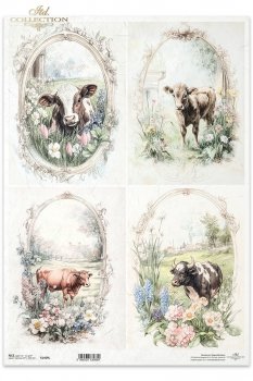 Reispapier A3 für Decoupage R1409L