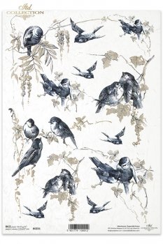 Rice paper R0201