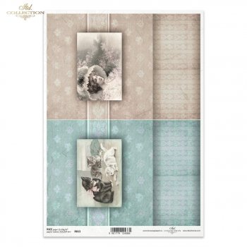 Rice paper R0813