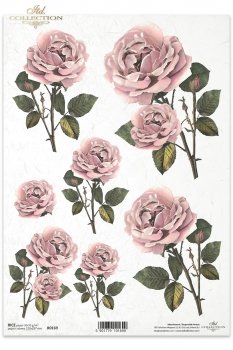 Rice paper R0169