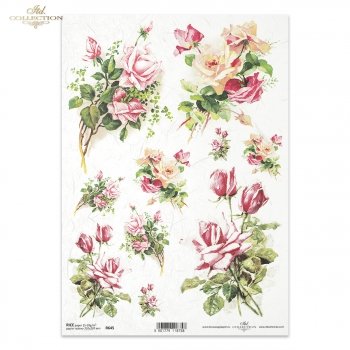 Rice paper R0645