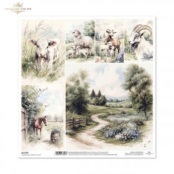 scrapbooking paper SL1735