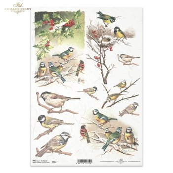 Rice paper R0597