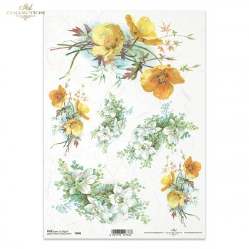 Rice paper R0961