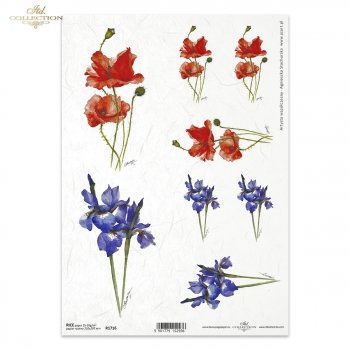 Rice paper R1716