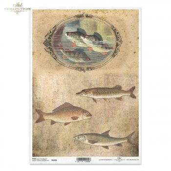 Rice paper R1039