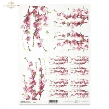 Rice paper R0411